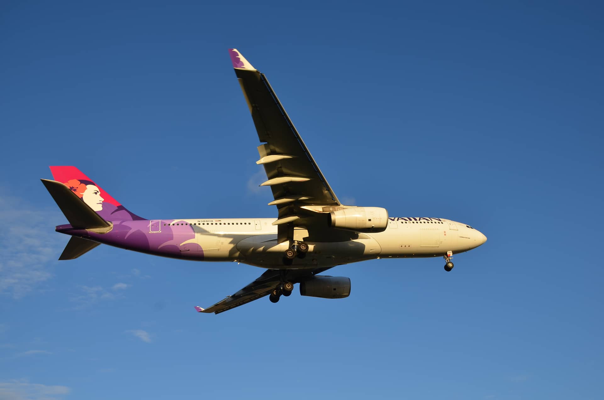 Sydney Airport (SYD), Australien – Australien, Australien und Ozeanien. Foto: Christian Böhme