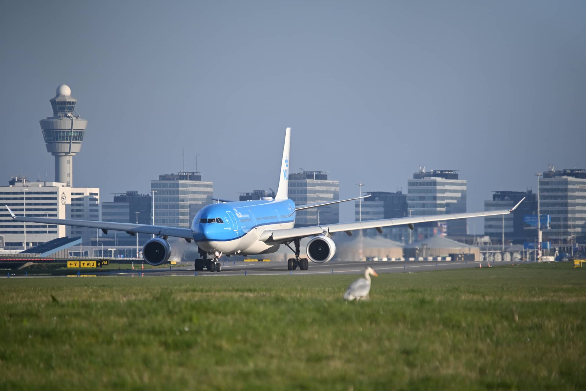 Amsterdam-Schiphol (AMS), Netherlands – Netherlands, Europe. Photo: Christian Böhme