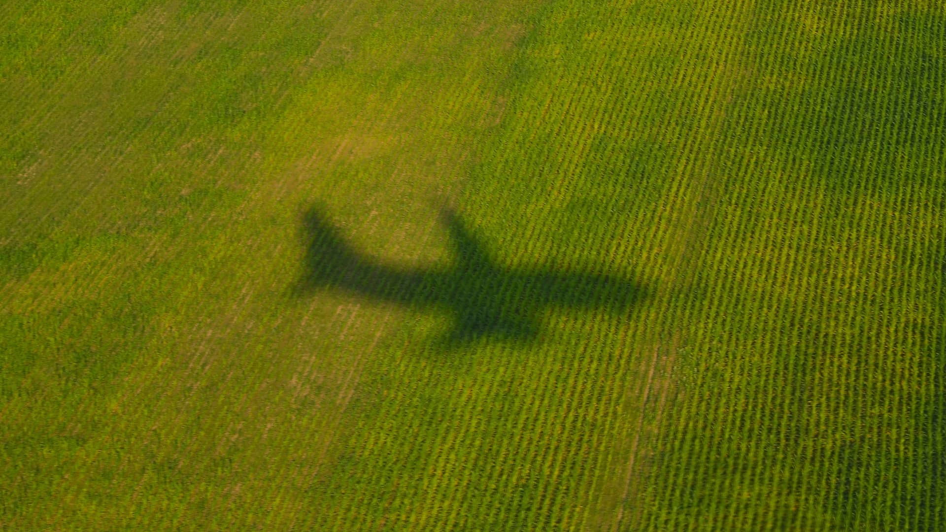 Flights 2015 – Flights 2015. Photo: Christian Böhme