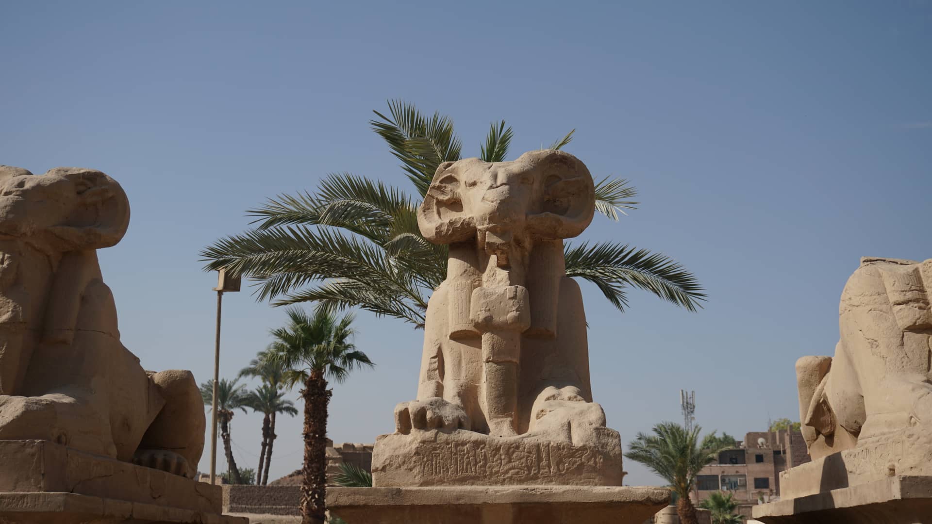 Egypt – Egypt, Africa. Photo: Christian Böhme