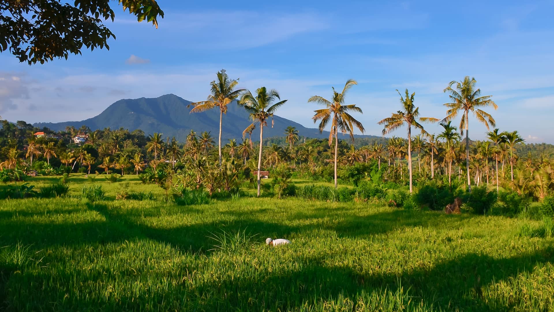 Indonesien – Indonesien, Asien. Foto: Christian Böhme