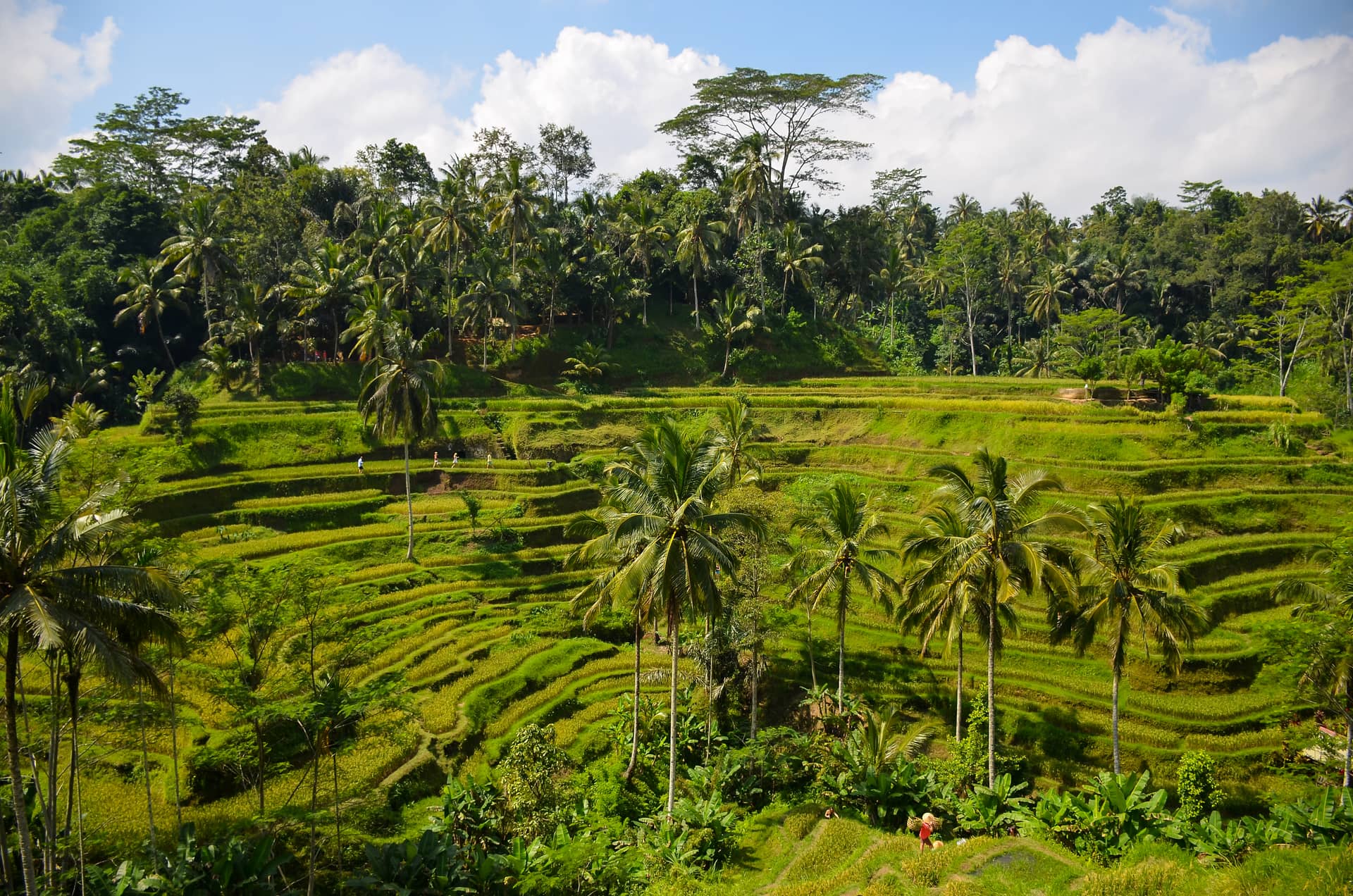 Indonesia – Indonesia, Asia. Photo: Christian Böhme