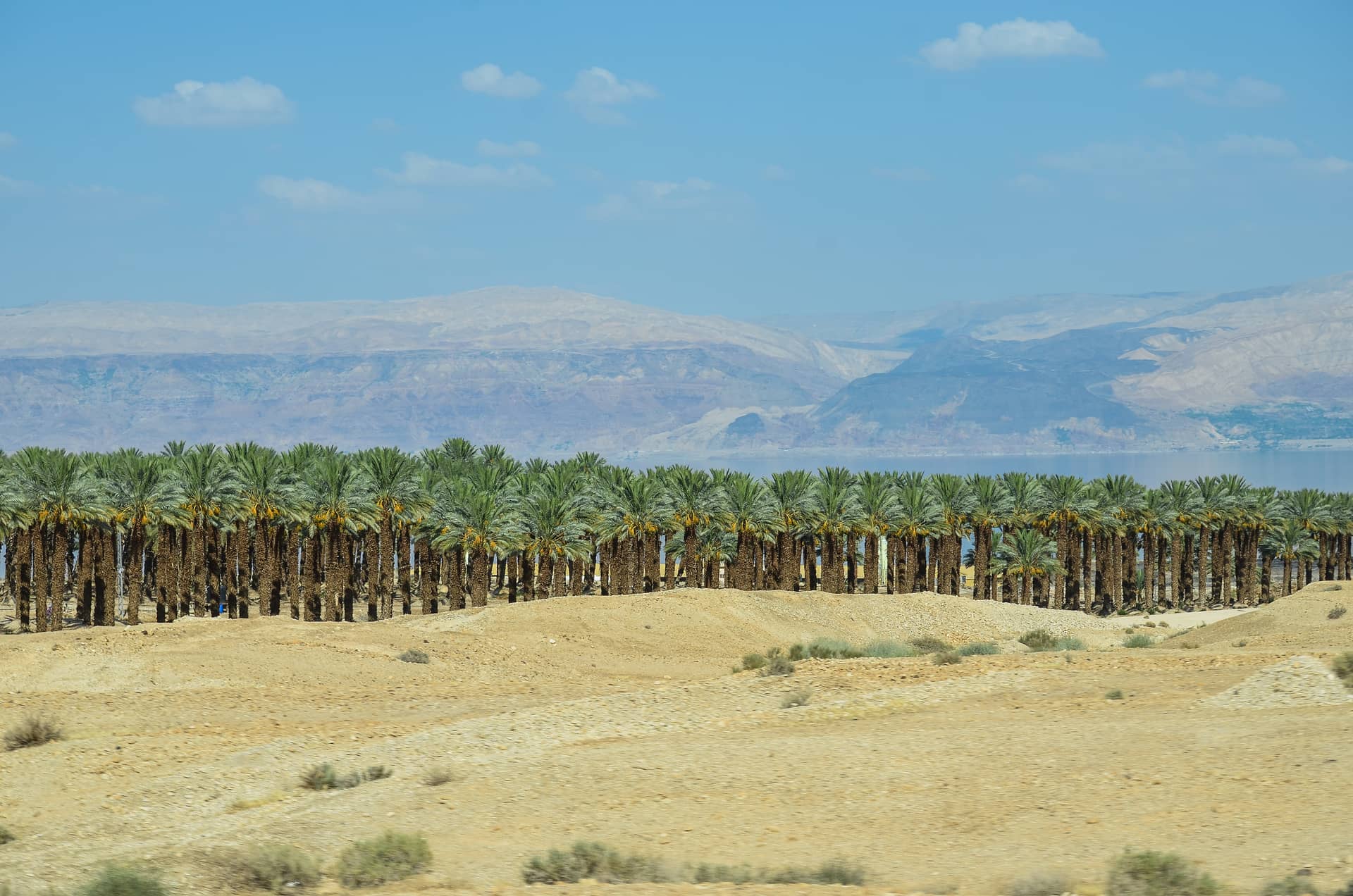 Israel – Israel, Asien. Foto: Christian Böhme