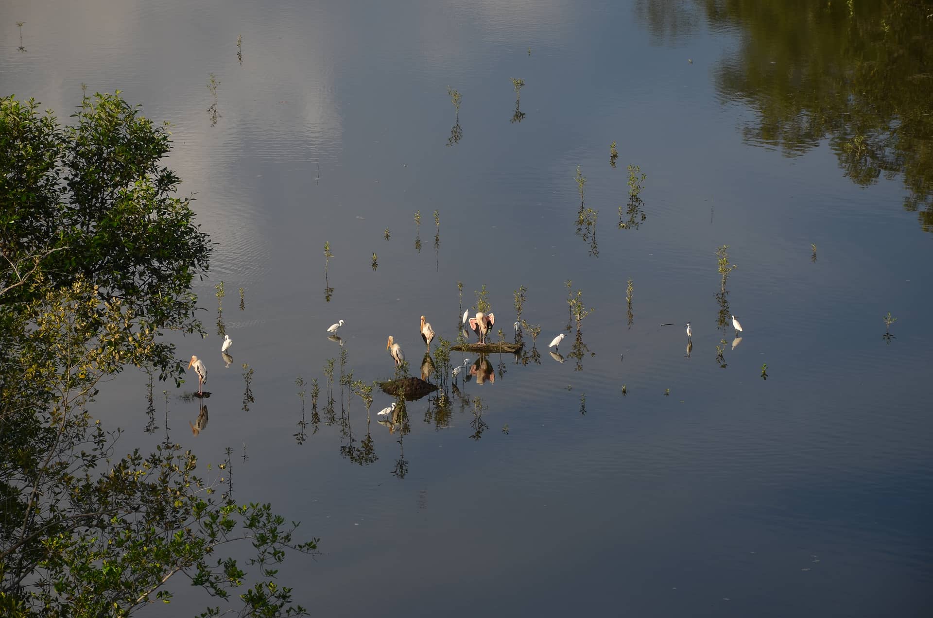 Singapore – Singapore, Asia. Photo: Christian Böhme