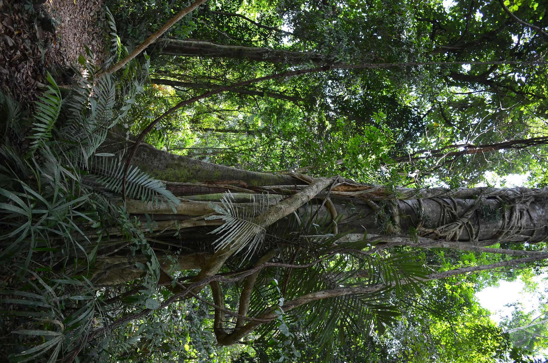 Thailand – Thailand, Asien. Foto: Christian Böhme
