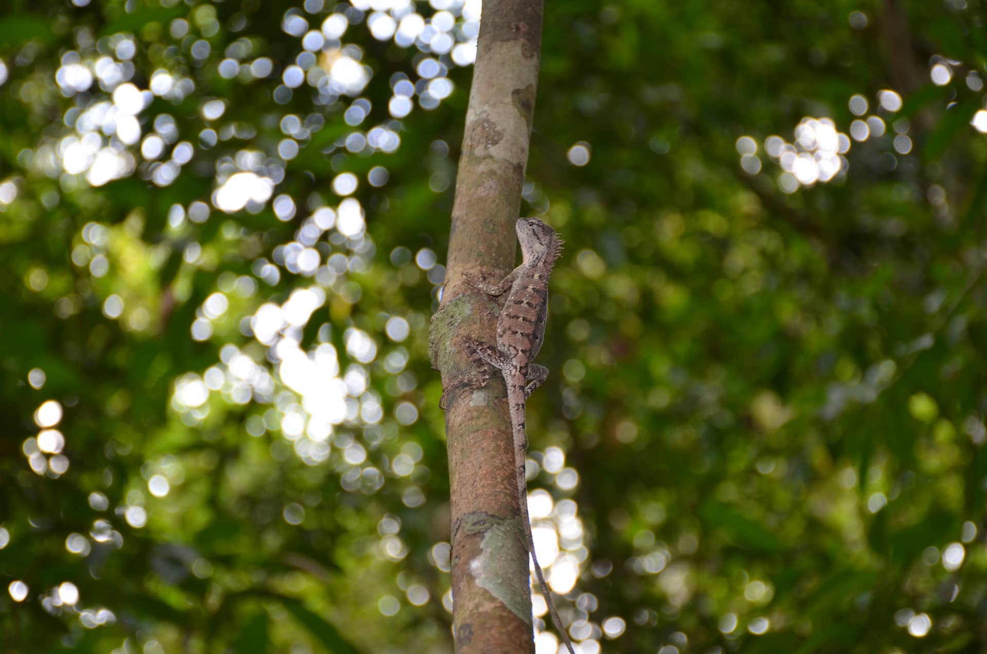 Thailand – Thailand, Asien. Foto: Christian Böhme
