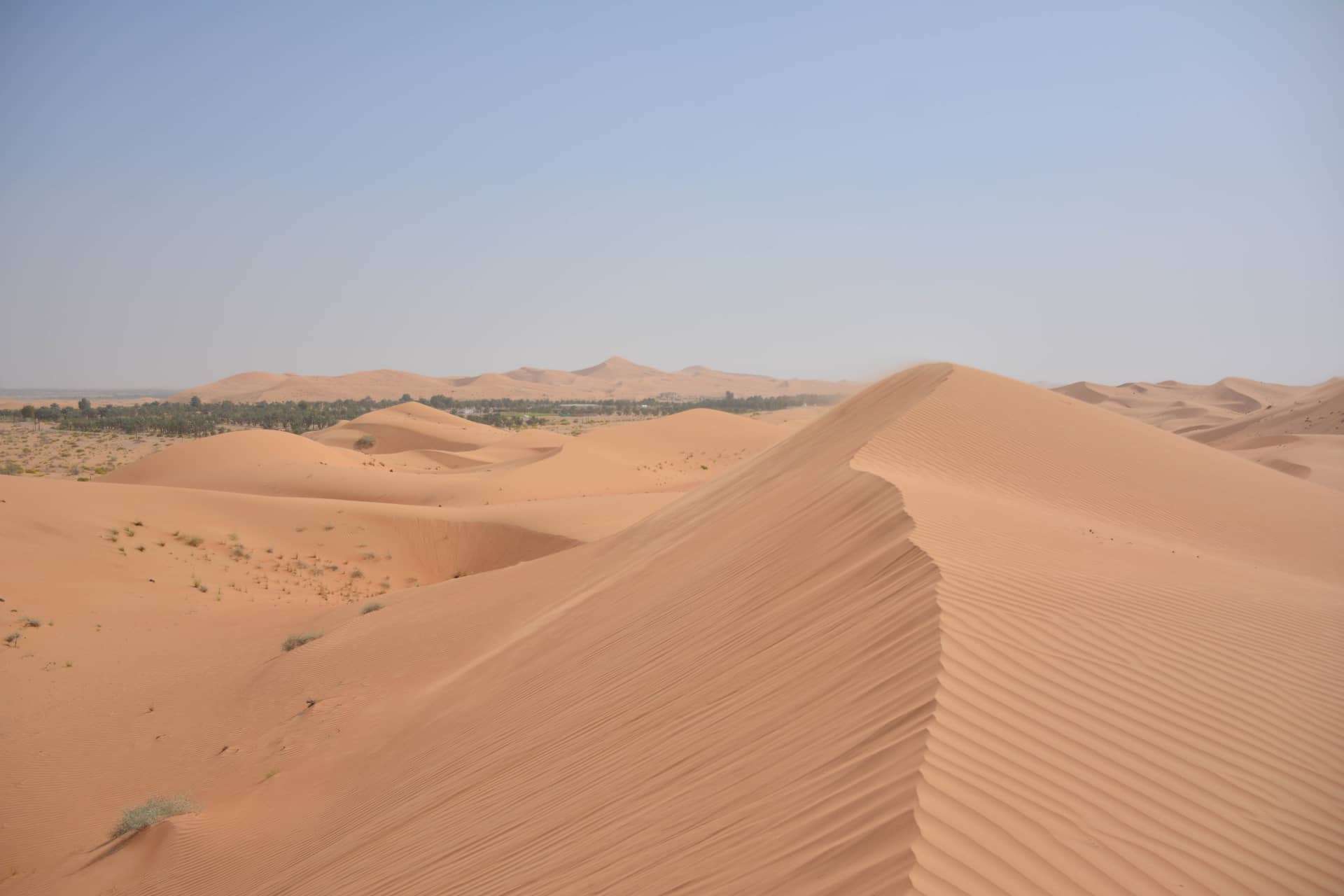 Vereinigte Arabische Emirate (VAE) – Vereinigte Arabische Emirate (VAE), Asien. Foto: Christian Böhme