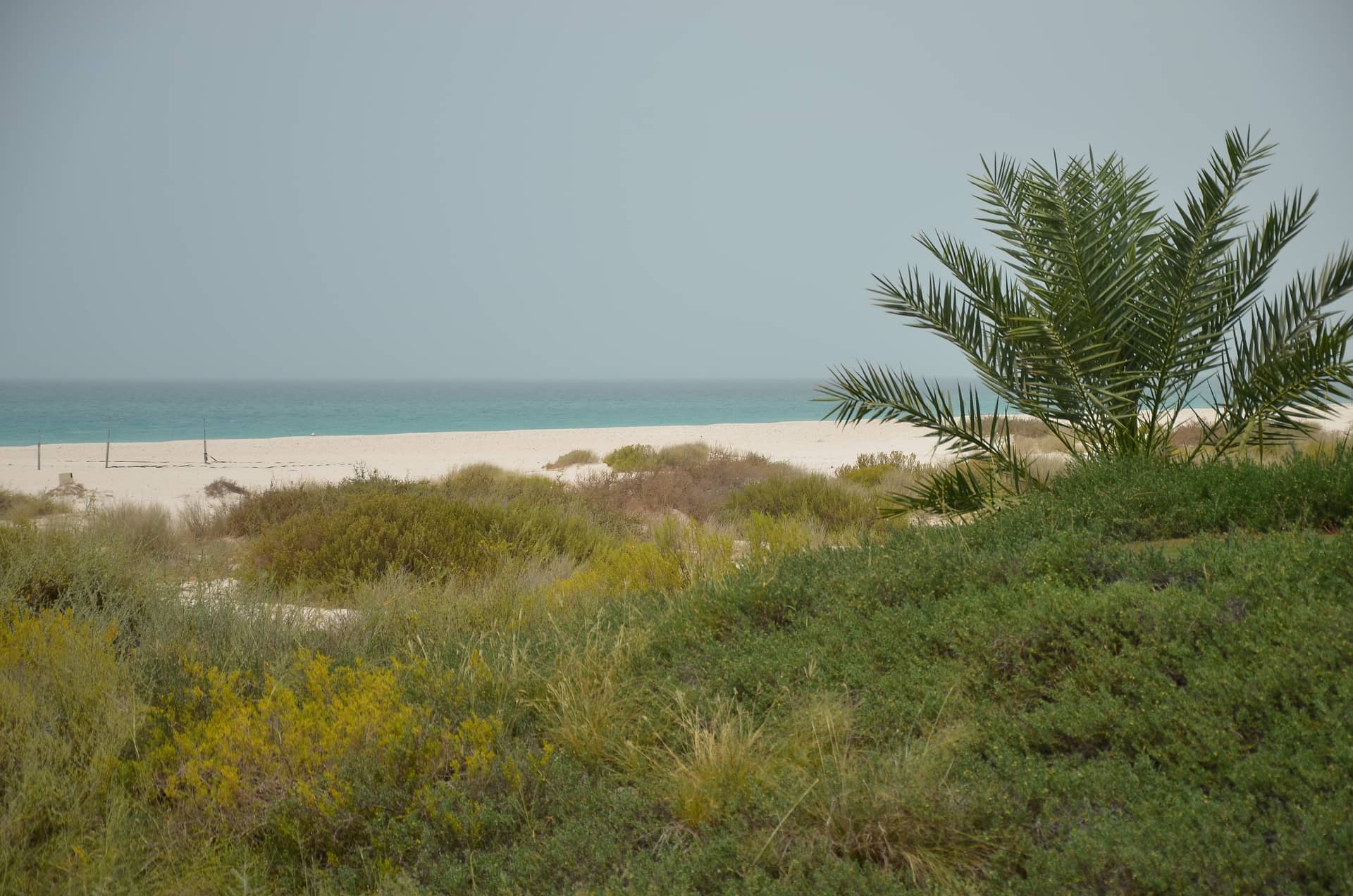 Abu Dhabi, Vereinigte Arabische Emirate (VAE) – Vereinigte Arabische Emirate (VAE), Asien. Foto: Christian Böhme