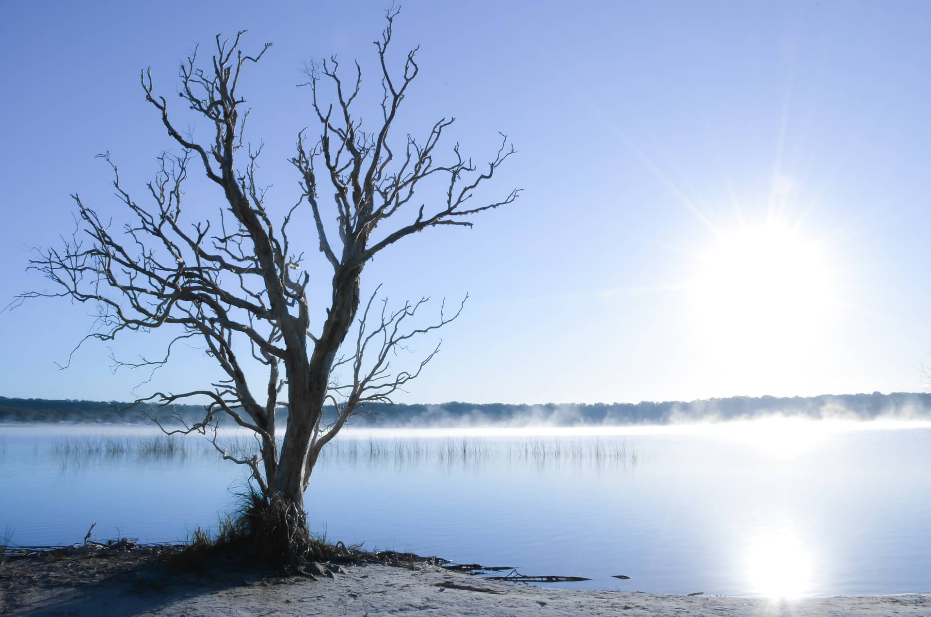 Fraser Island, Australien – Australien, Australien und Ozeanien. Foto: Christian Böhme