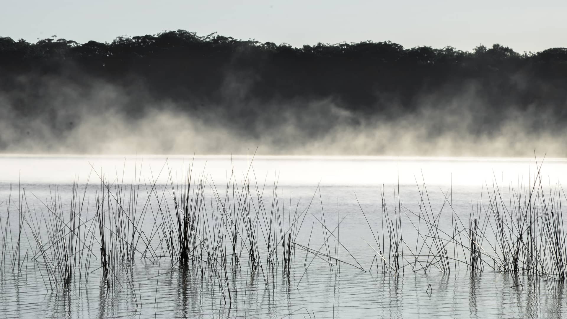 Fraser Island, Australien – Australien, Australien und Ozeanien. Foto: Christian Böhme