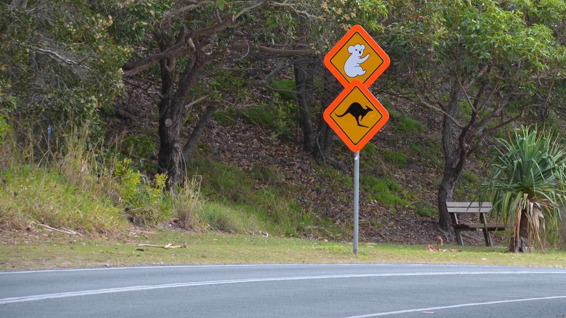 North Stradbroke Island, Australien – Australien, Australien und Ozeanien. Foto: Christian Böhme