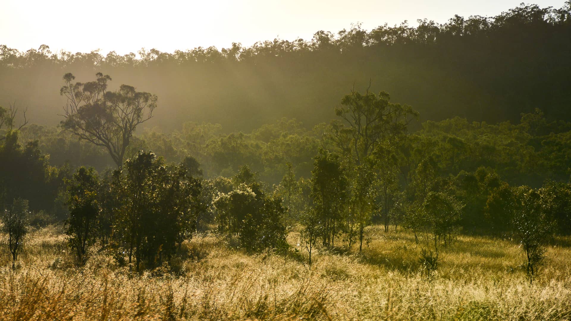Roadtrip Brisbane-Cairns, Australien – Australien, Australien und Ozeanien. Foto: Christian Böhme