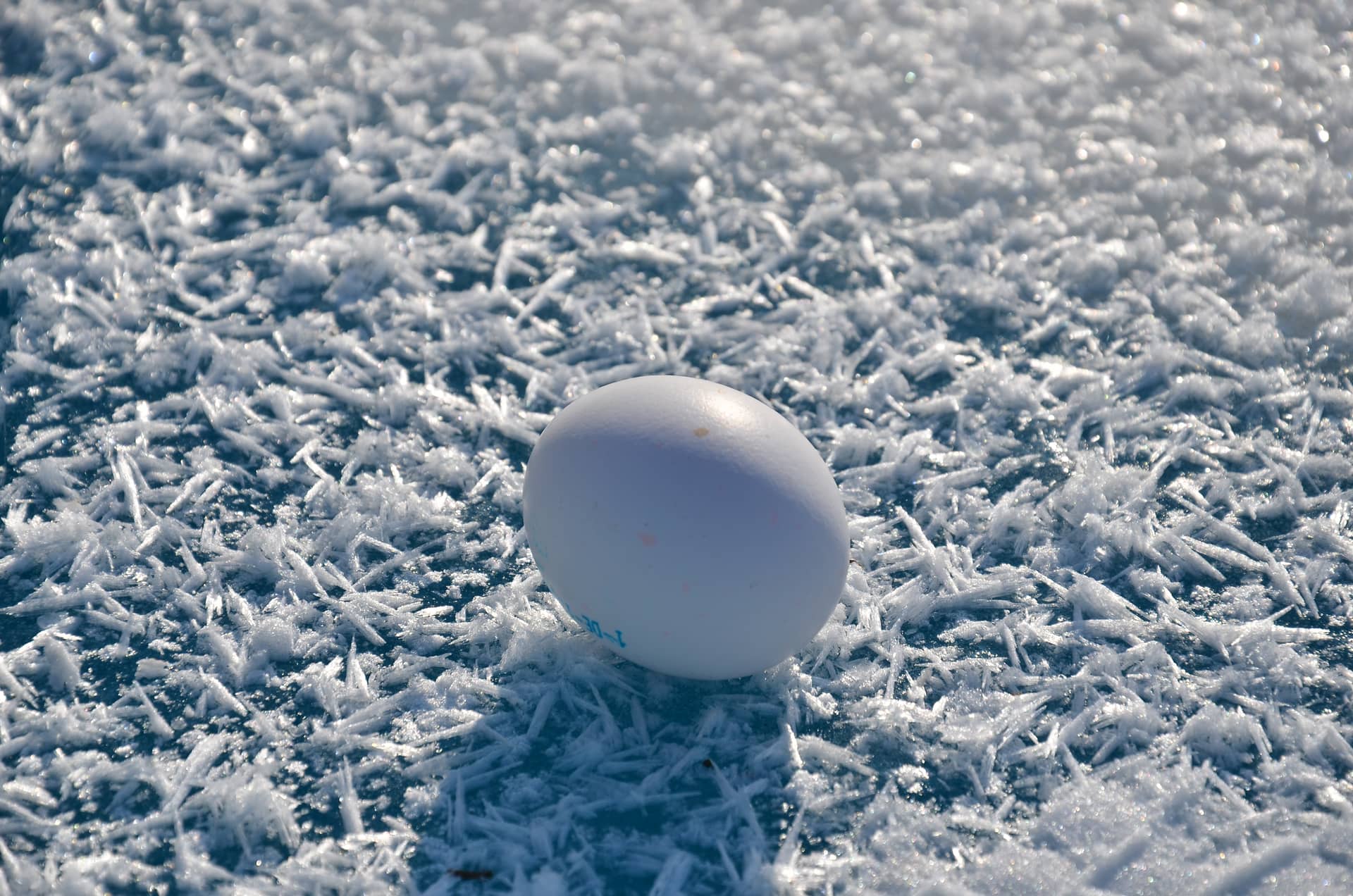 Egg in the snow, Germany – Germany, Europe. Photo: Christian Böhme