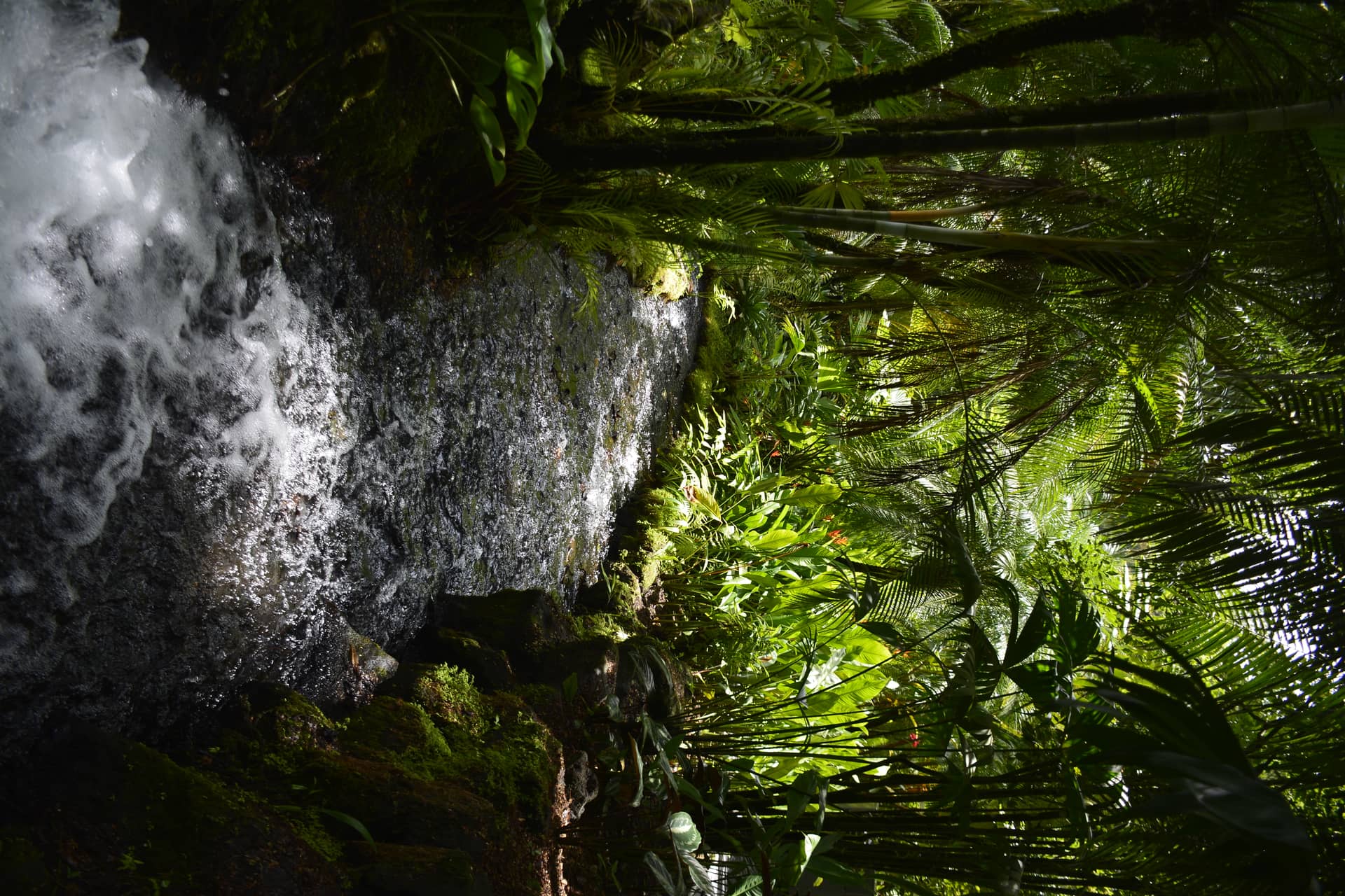 Costa Rica – Costa Rica, Nordamerika. Foto: Christian Böhme