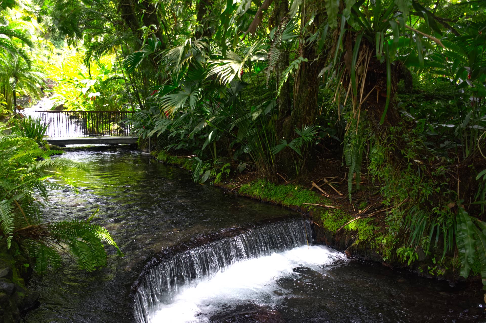Costa Rica – Costa Rica, Nordamerika. Foto: Christian Böhme