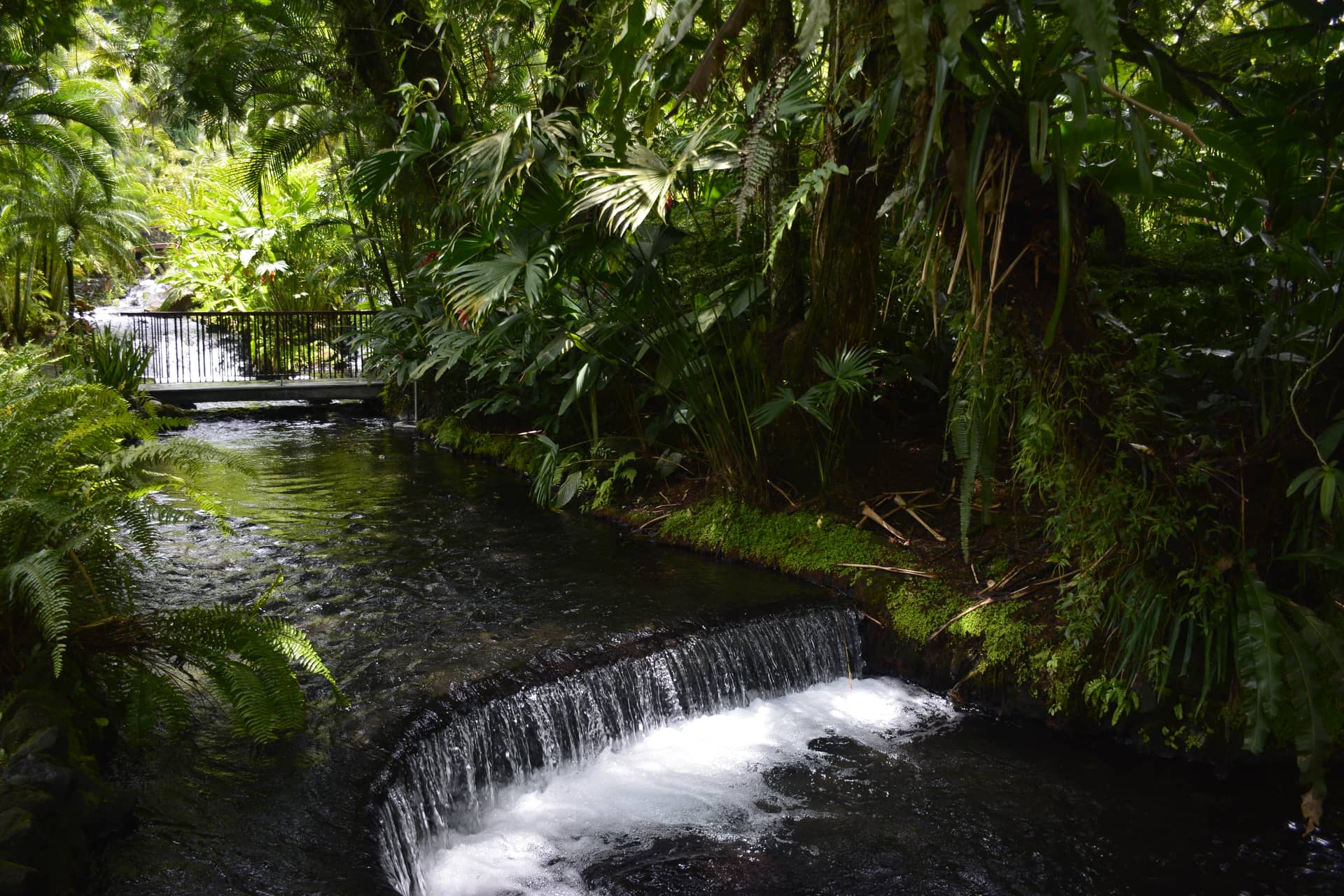 Costa Rica – Costa Rica, Nordamerika. Foto: Christian Böhme