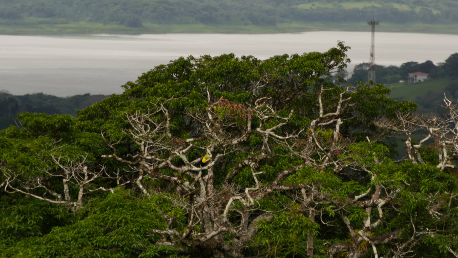 Costa Rica – Costa Rica, Nordamerika. Foto: Christian Böhme