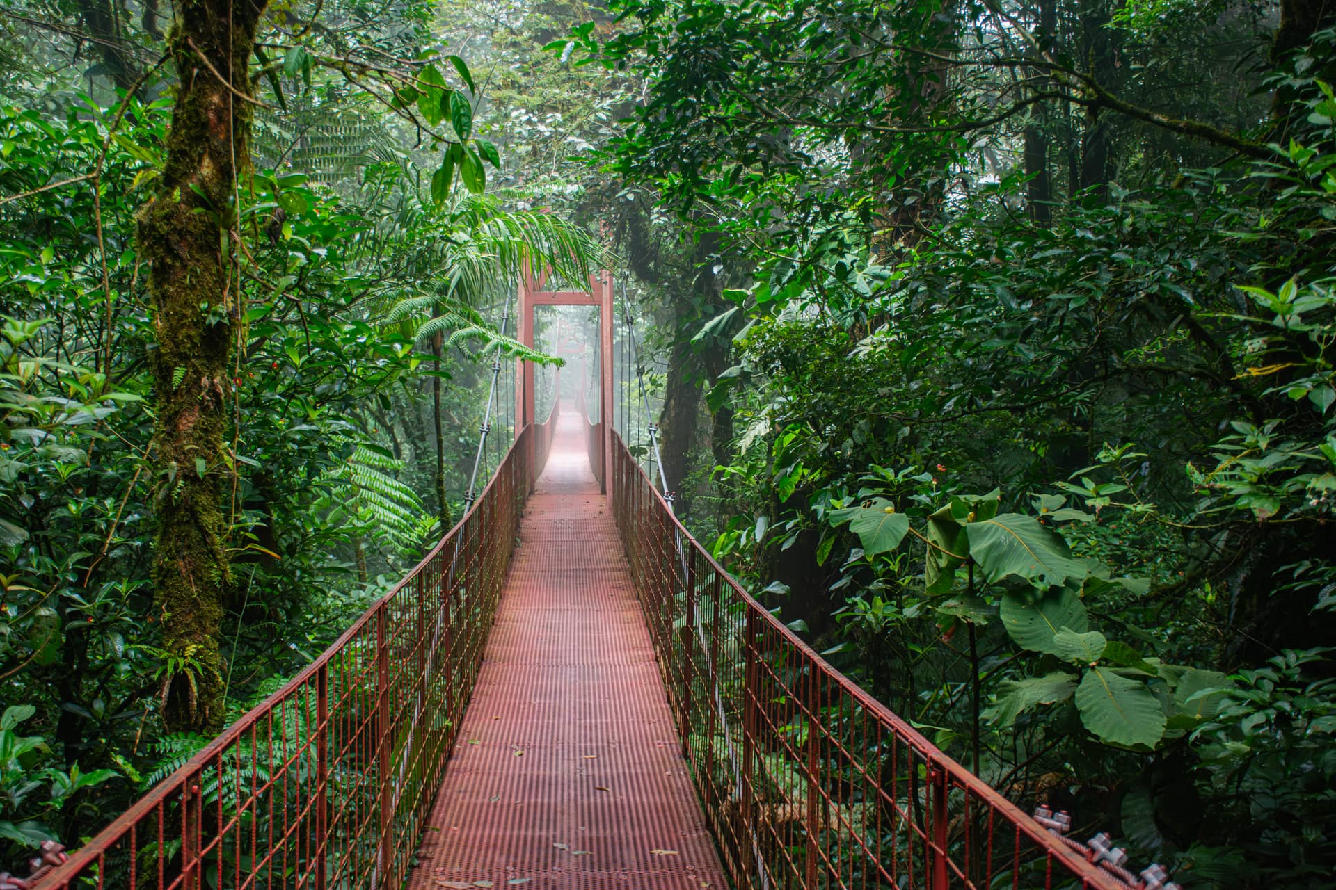 Costa Rica – Costa Rica, North America. Photo: Christian Böhme