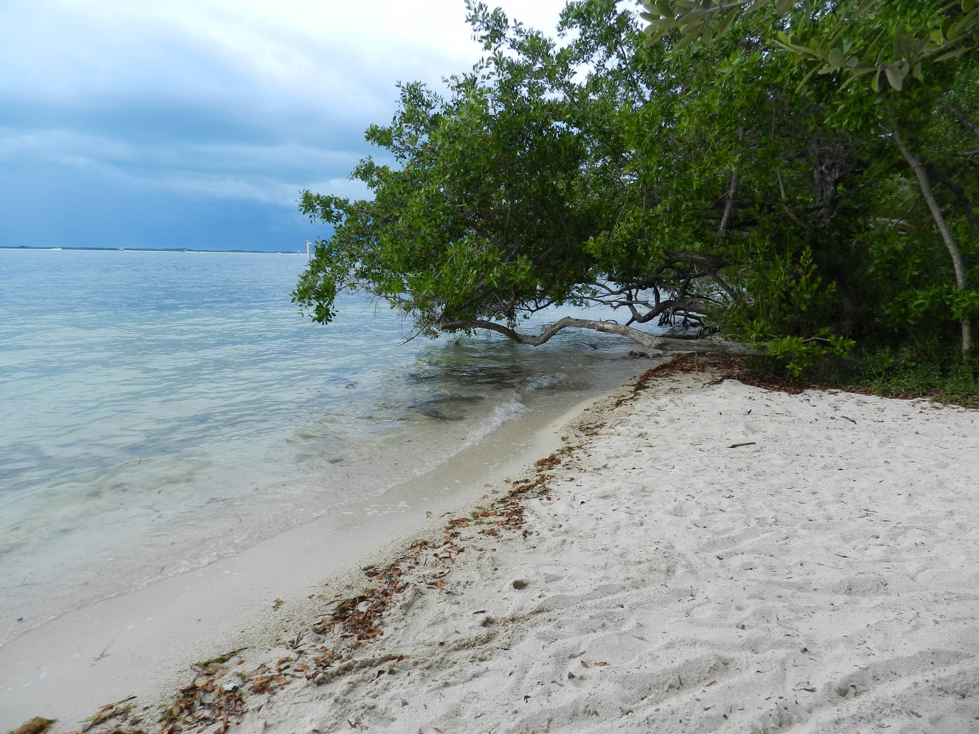 Florida, Vereinigte Staaten (USA) – Vereinigte Staaten (USA), Nordamerika. Foto: Christian Böhme
