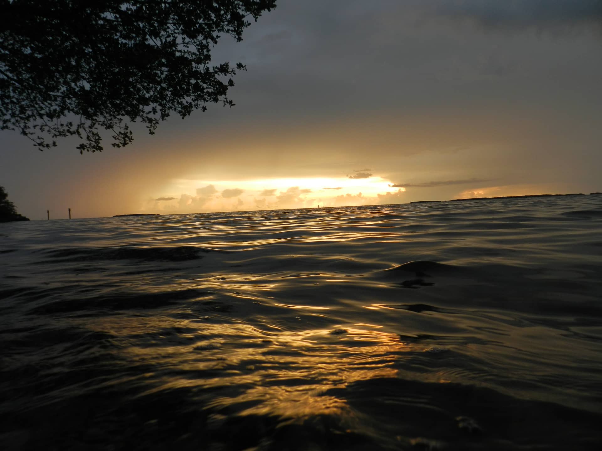 Florida, United States of America (USA) – United States of America (USA), North America. Photo: Christian Böhme