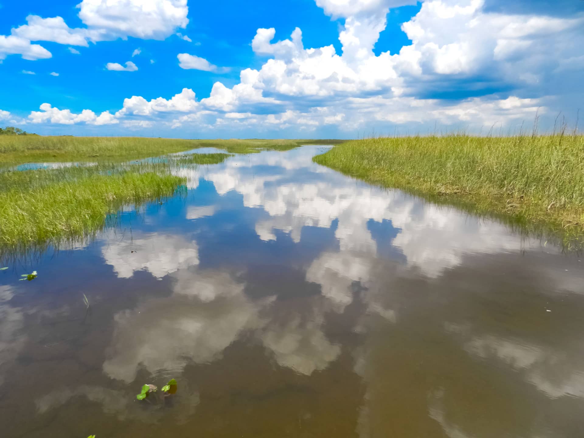 Florida, United States of America (USA) – United States of America (USA), North America. Photo: Christian Böhme