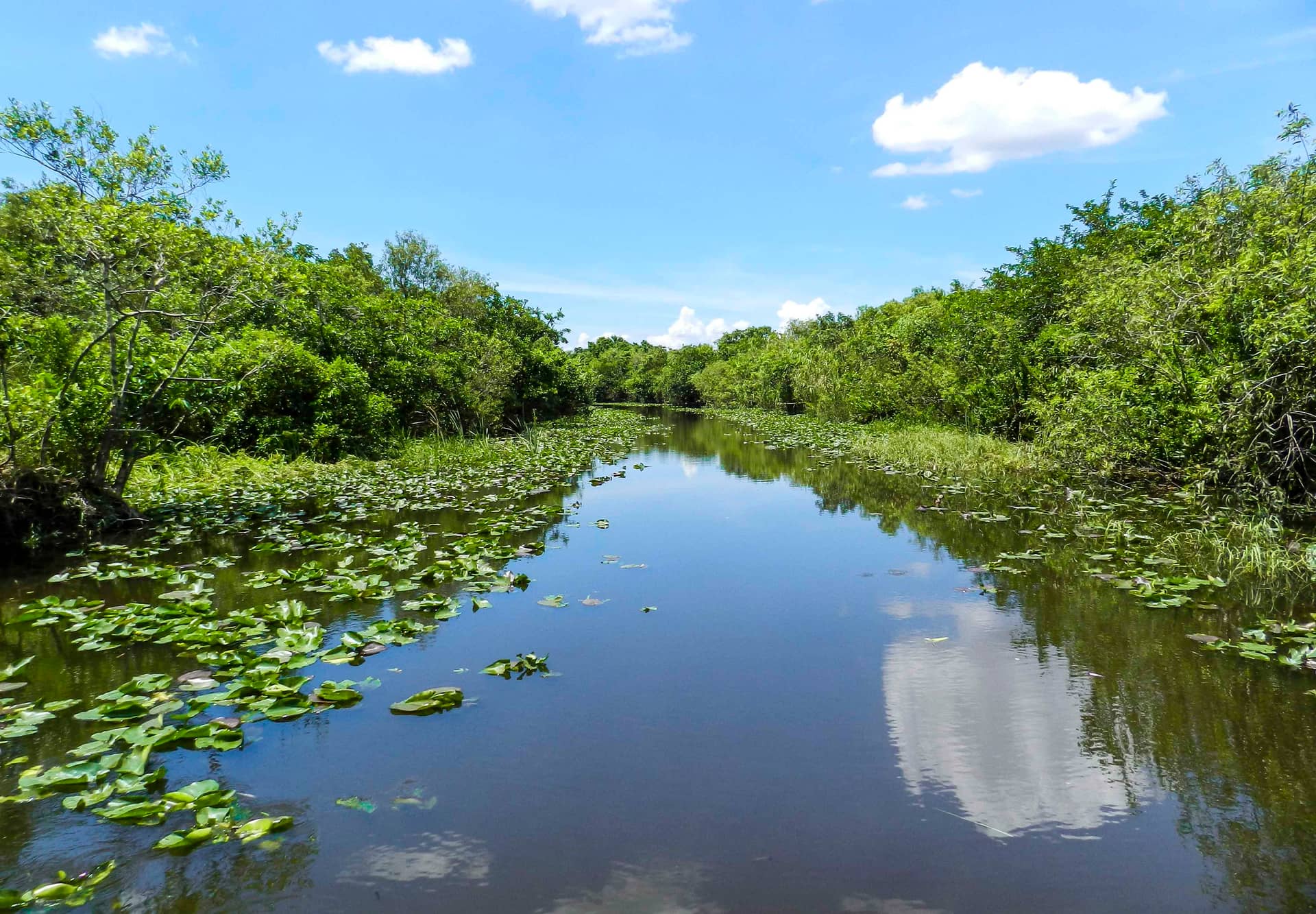 Florida, United States of America (USA) – United States of America (USA), North America. Photo: Christian Böhme