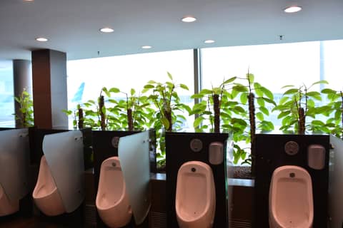 The best toilet view in the world