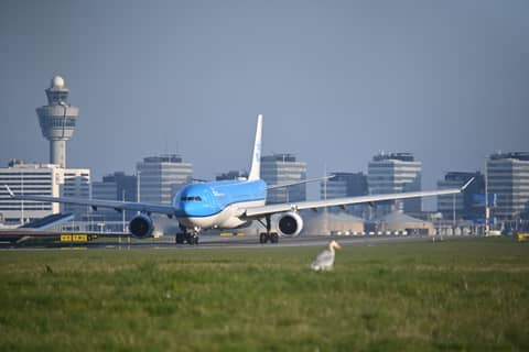 Amsterdam-Schiphol (AMS), Netherlands