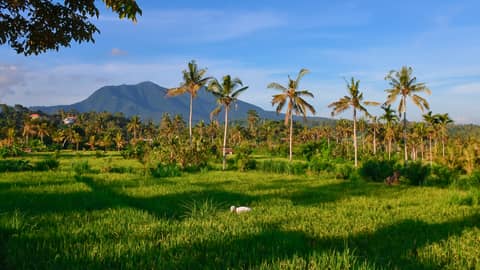 Indonesia