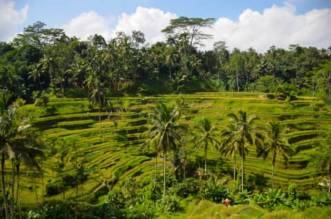 Indonesien