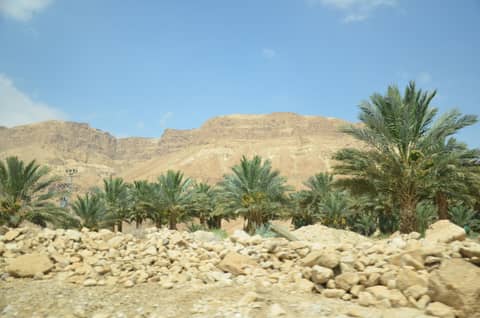 Israel