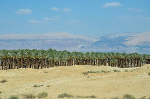 Israel
