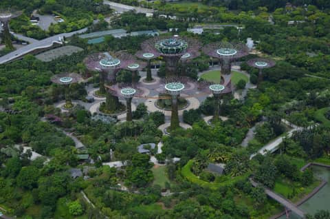 Singapur