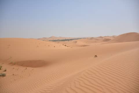 United Arab Emirates (UAE)