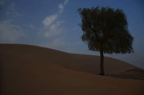 Abu Dhabi, Vereinigte Arabische Emirate (VAE)