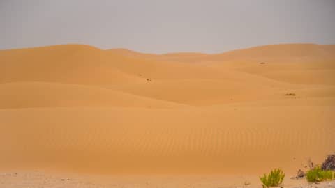 Abu Dhabi, United Arab Emirates (UAE)