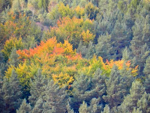 Sächsische Schweiz, Germany