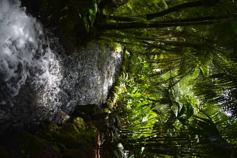 Costa Rica