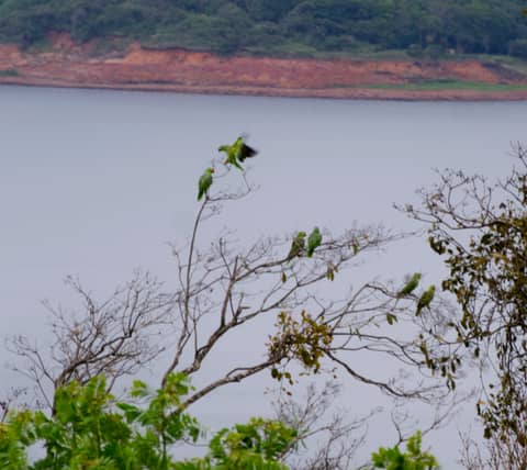Costa Rica