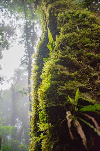 Costa Rica