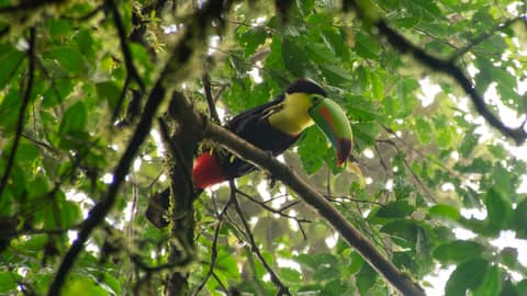 Costa Rica