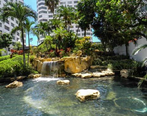 Florida, Vereinigte Staaten (USA)
